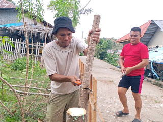 Sinergi Guru dan Alumni Perbaiki Pagar Sekolah Sambut HUT Gorontalo Utara ke-19